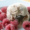 Berry Vanilla Chocolate Chip Ice Cream