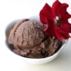 Decadent Chocolate Coconut Ice Cream
