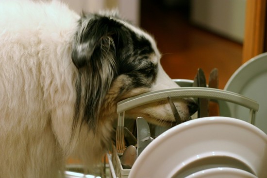 Pre-rinse cycle