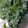Kale Pesto
