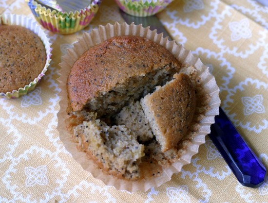 Lemon Poppy Seed Muffin Lemon Poppy Seed Muffin