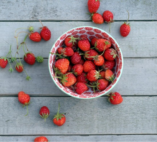 Fresh-picked wild strawberries Fresh-picked wild strawberries