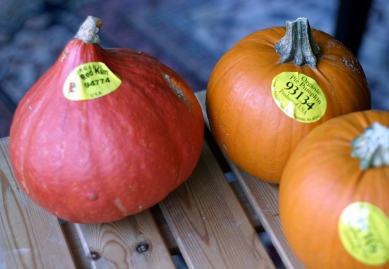 Red Kuri and Sugar Pumpkin are both good for baking Red Kuri and Sugar Pumpkin are both good for baking