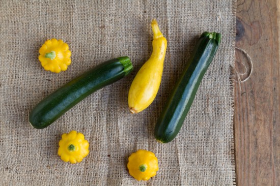 Squash Squash