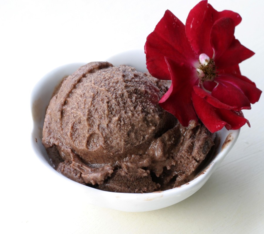 Decadent Chocolate Coconut Ice Cream