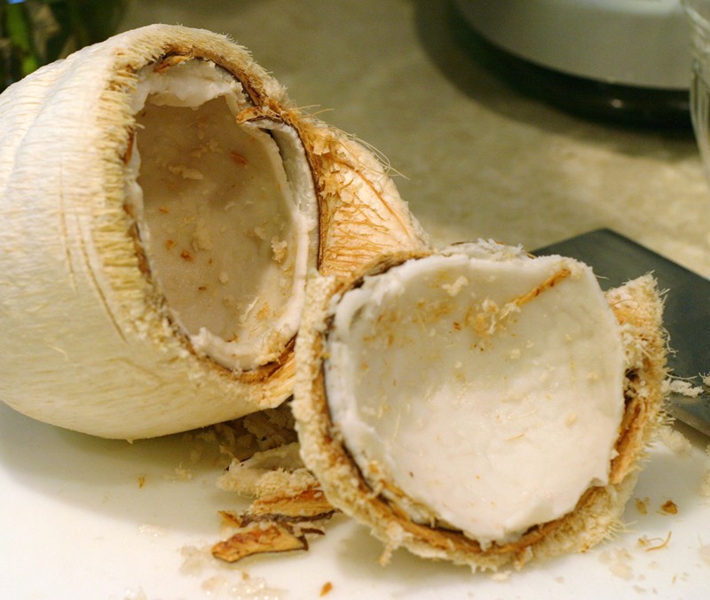 Young coconut split open