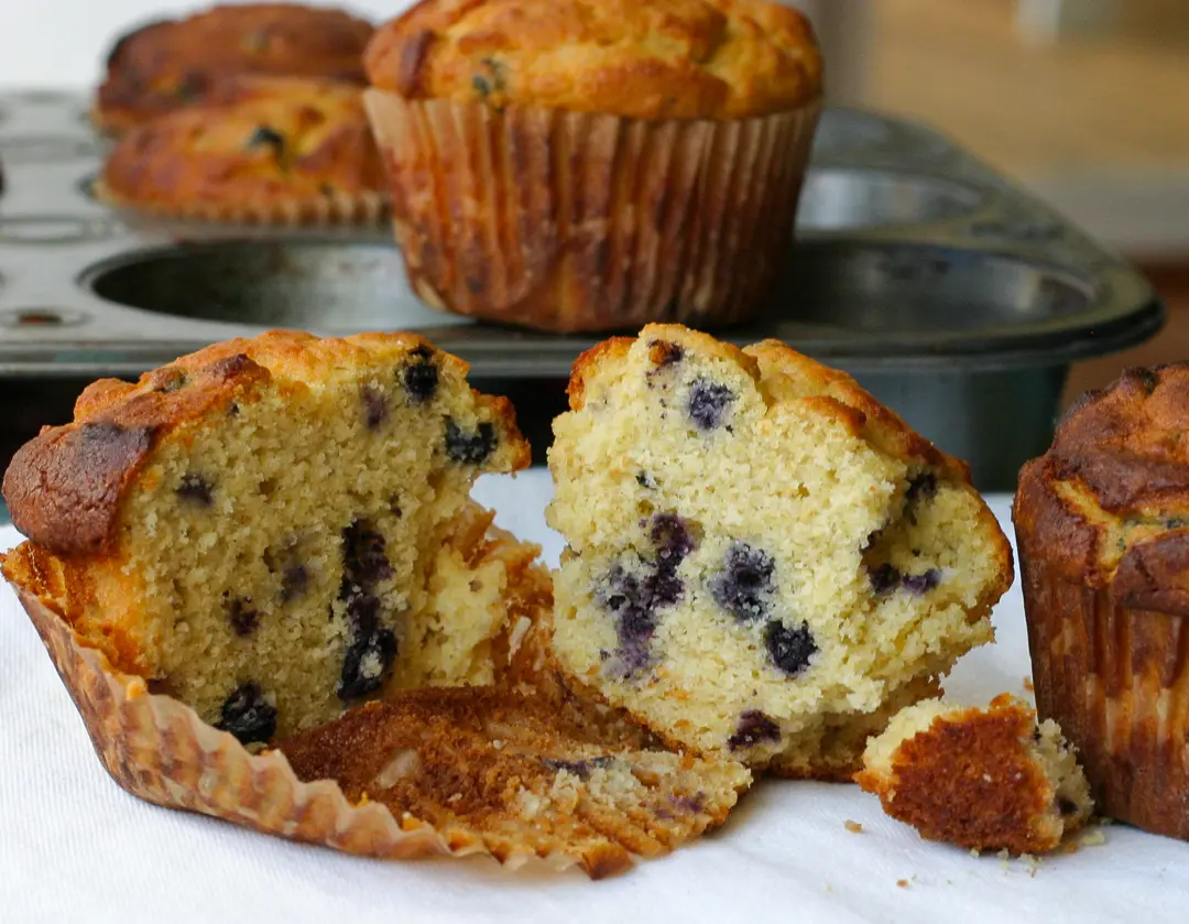 Blueberry corn muffin Blueberry corn muffins sliced open closeup
