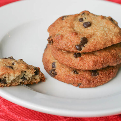 Dehydrator Chocolate Chip Cookies