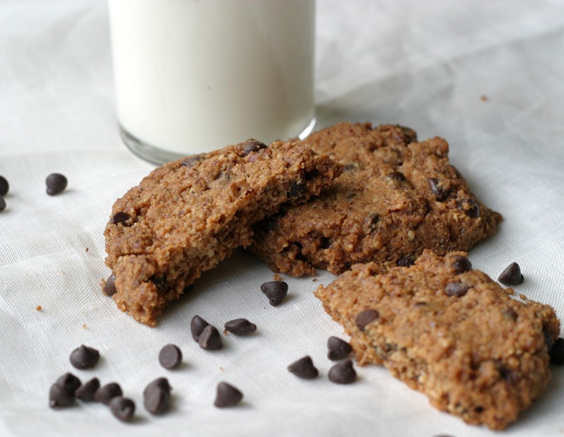 Bite of chocolate chip cookie (almond meal)