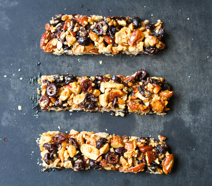 Trail Mix Bars - Comfy Belly