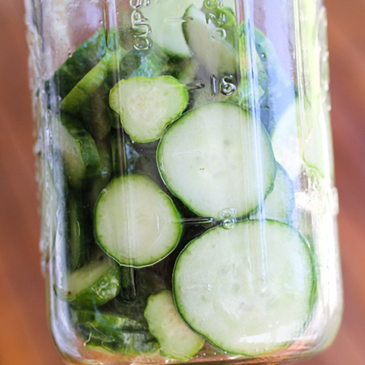 Refrigerator Pickles