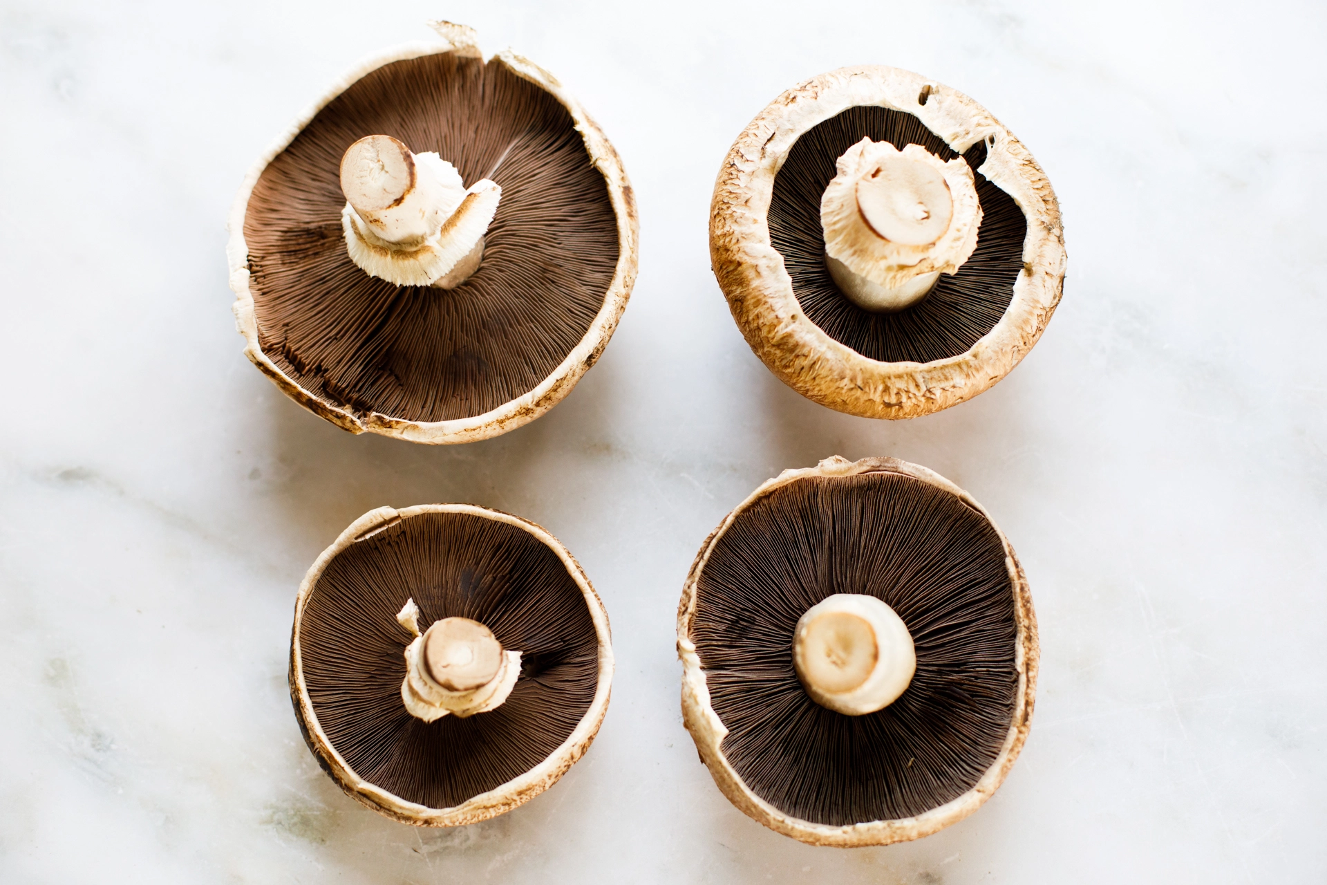 Portobello mushrooms overhead image