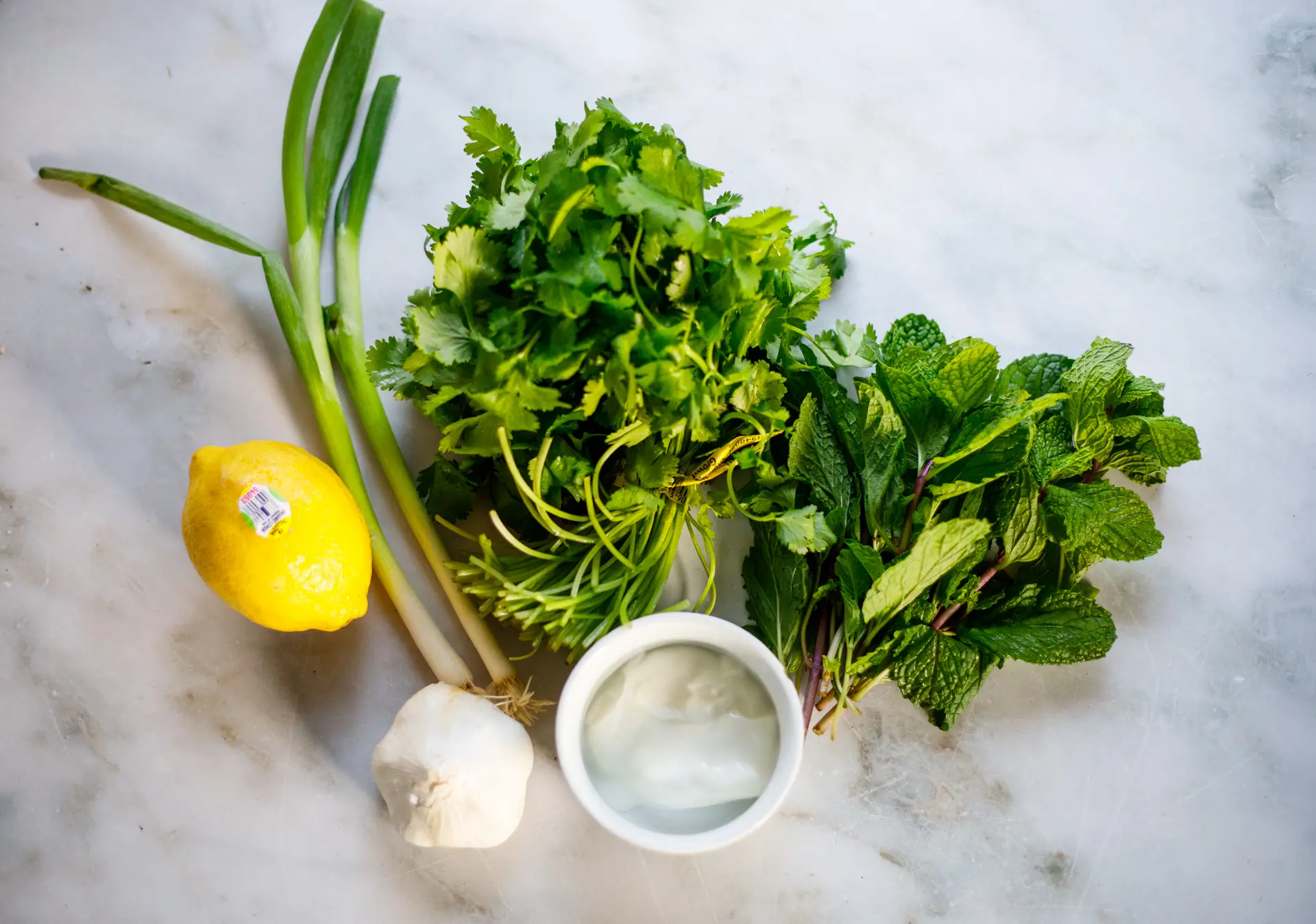 Mint Chutney ingredients