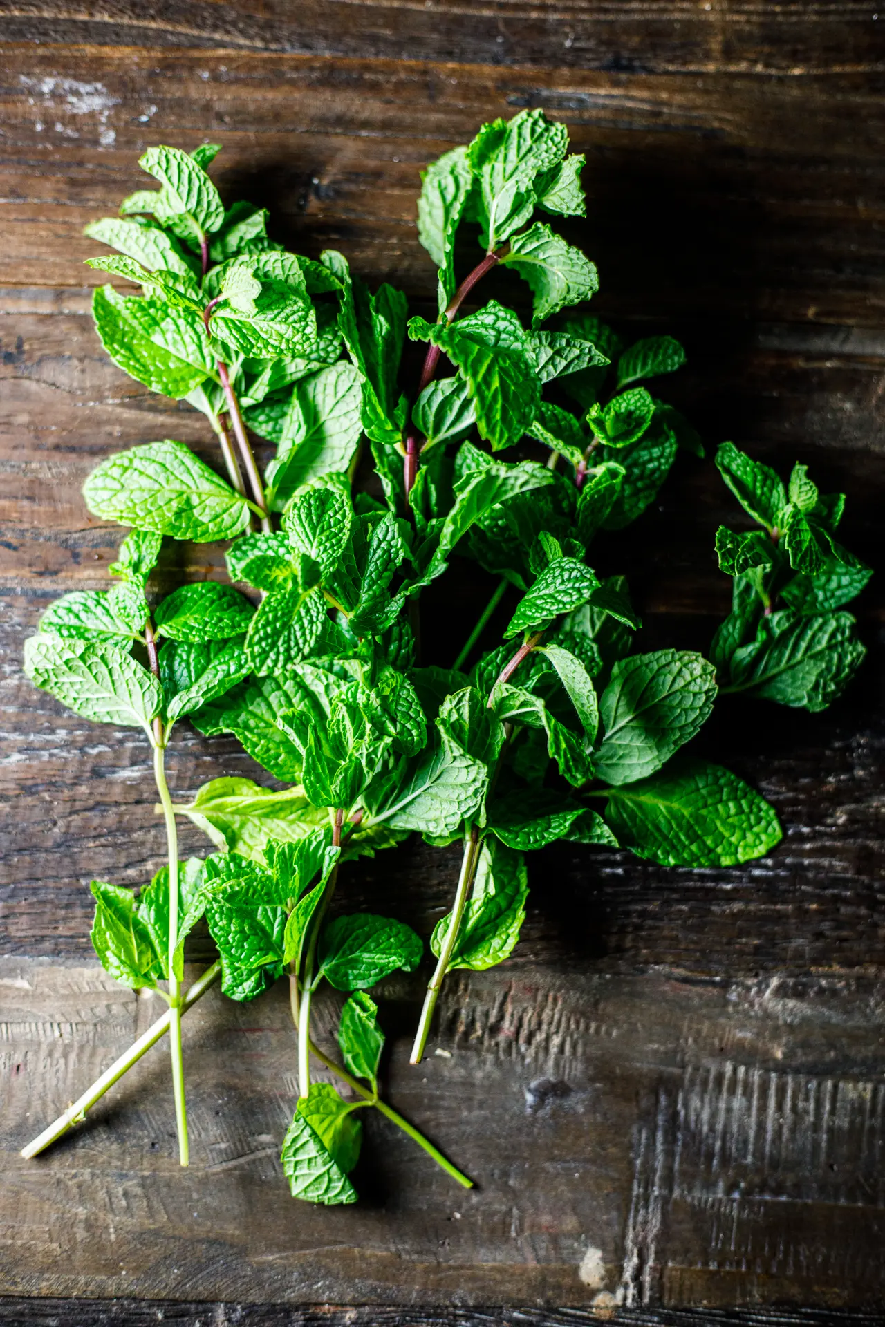 Spearmint Sprigs